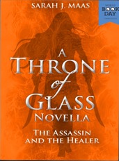 The Assassin and the Healer (Throne of Glass 02)